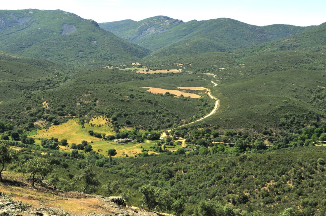 Bosque de Los Navalucillos, Toledo, España